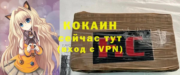 мескалин Новодвинск