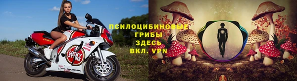 MDMA Premium VHQ Новокубанск