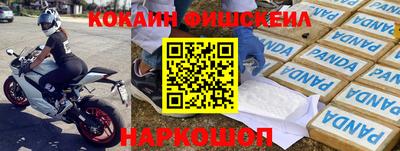 Альфа ПВП Аргун