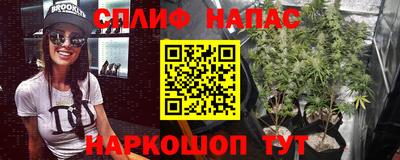 Альфа ПВП Аргун