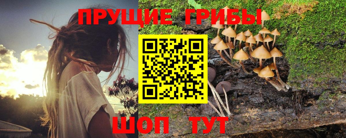 Галлюциногенные грибы MAGIC MUSHROOMS Ачинск