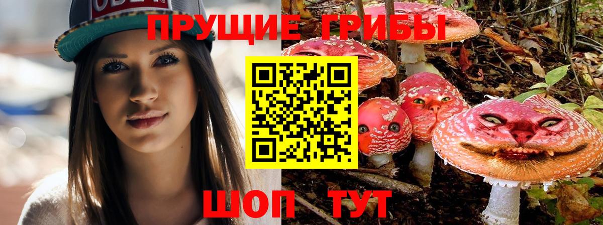 Псилоцибиновые грибы Psilocybine cubensis  Псилоцибиновые грибы мицелий  Ачинск  Вход с VPN 